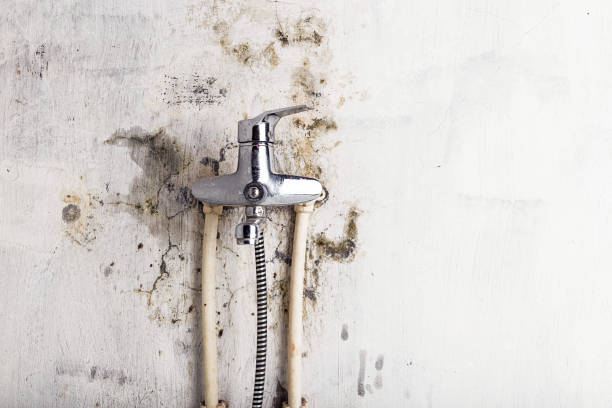 Best Fast Mold Removal  in Baden, MD