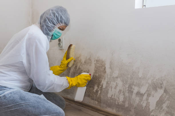 Best Fast Mold Removal  in Baden, MD