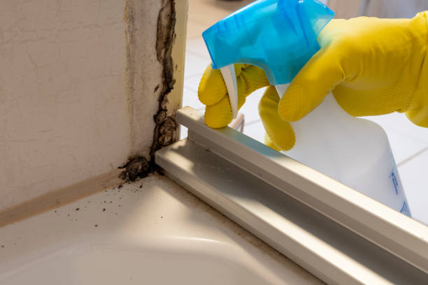 Best Residential Mold Removal  in Baden, MD