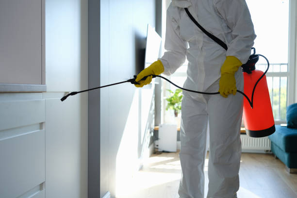 Best Emergency Mold Removal  in Baden, MD