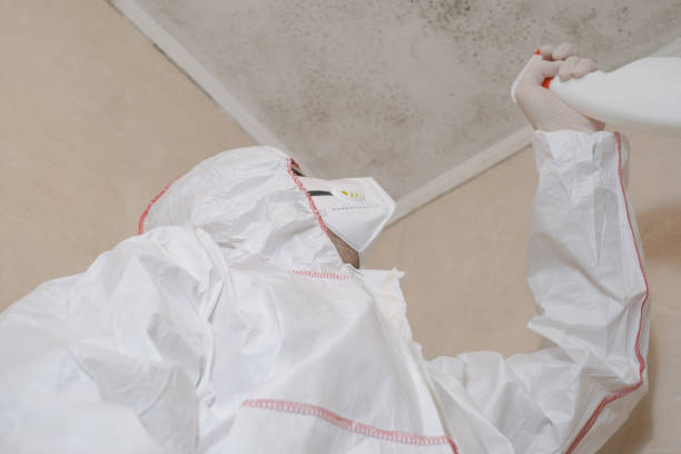 Best Local Mold Removal Service  in Baden, MD